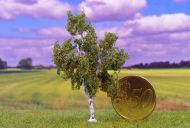 Birke mit geteiltem Stamm; Höhe ca. xx cm